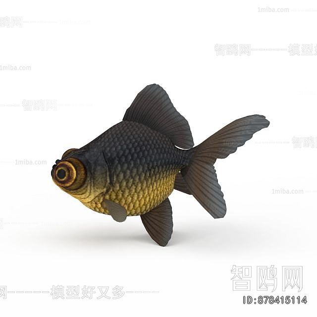 Modern Aquatic Animals