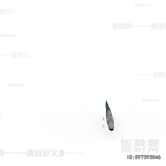 Modern Aquatic Animals