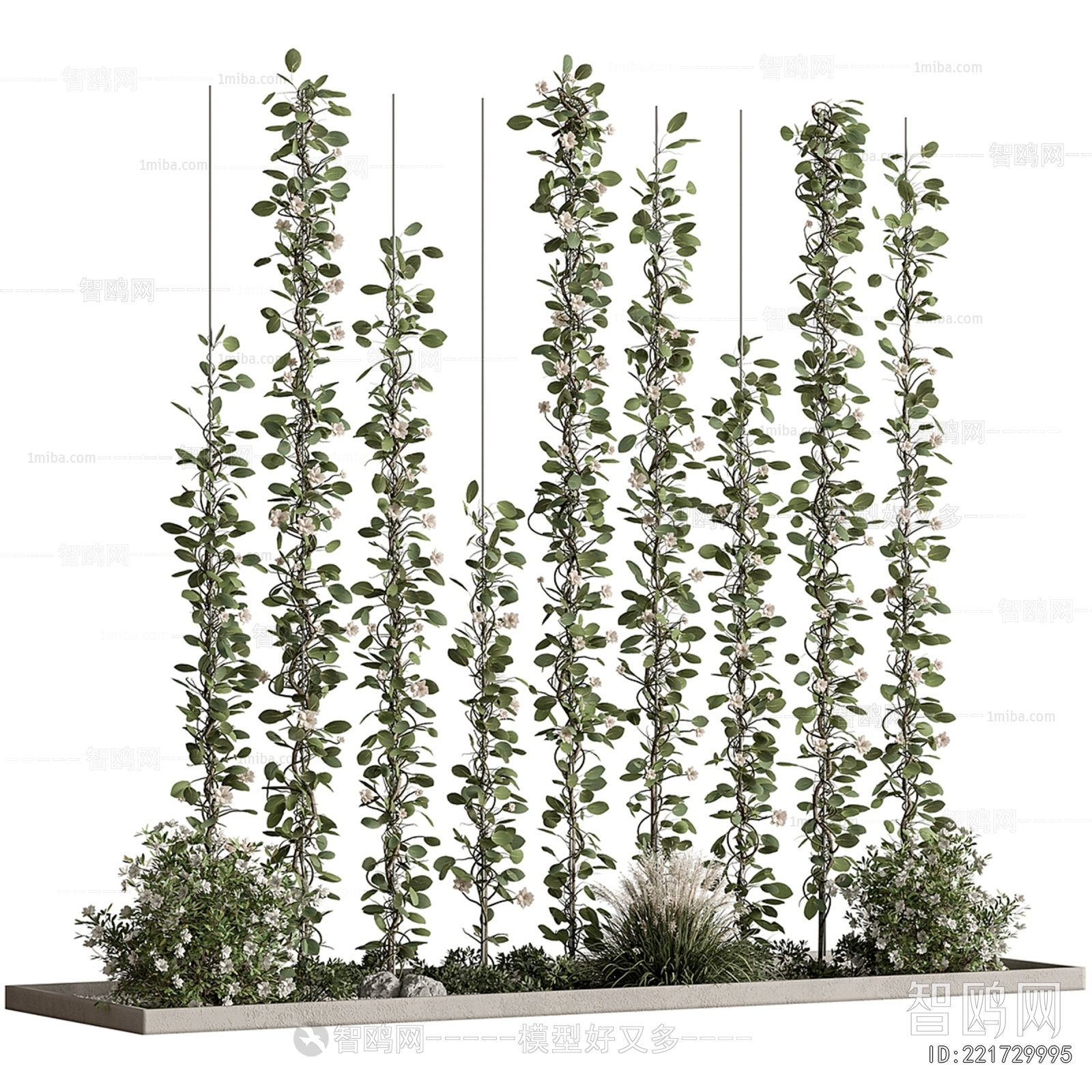 Modern Plant Landscaping