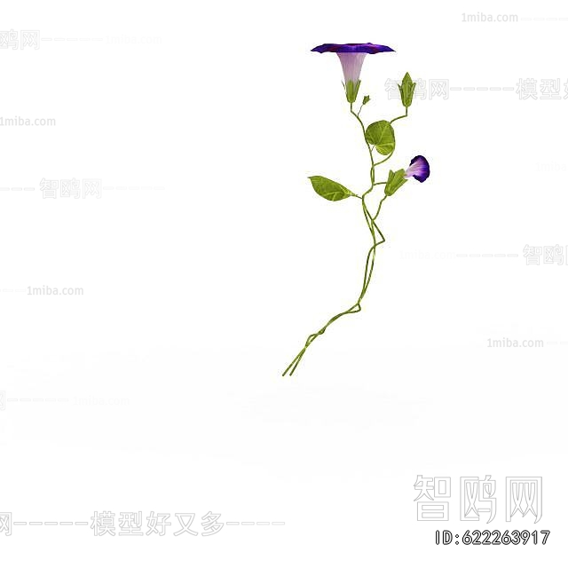 Modern Flowers And Grass