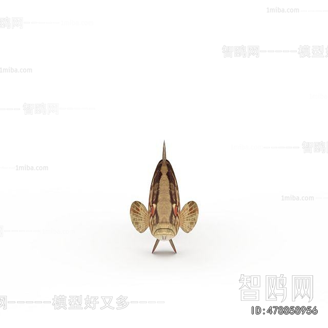 Modern Aquatic Animals