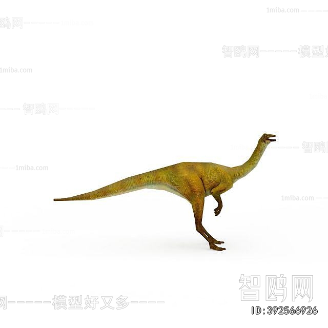 Modern Other Animals