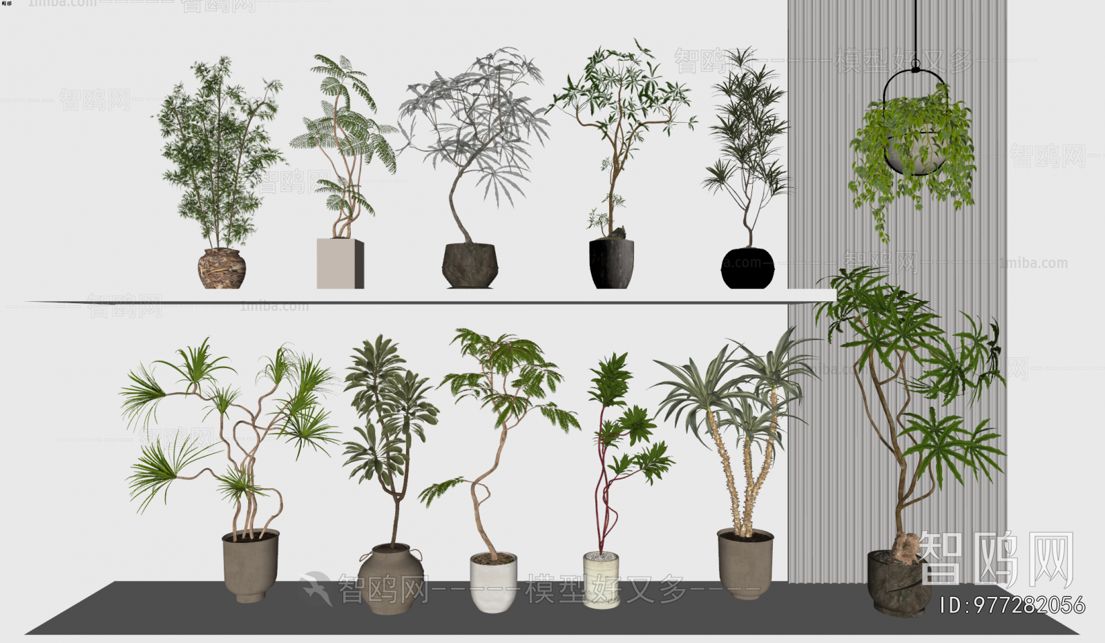 Modern Ground Green Plant Potted Plants