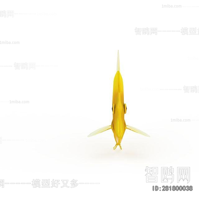 Modern Aquatic Animals