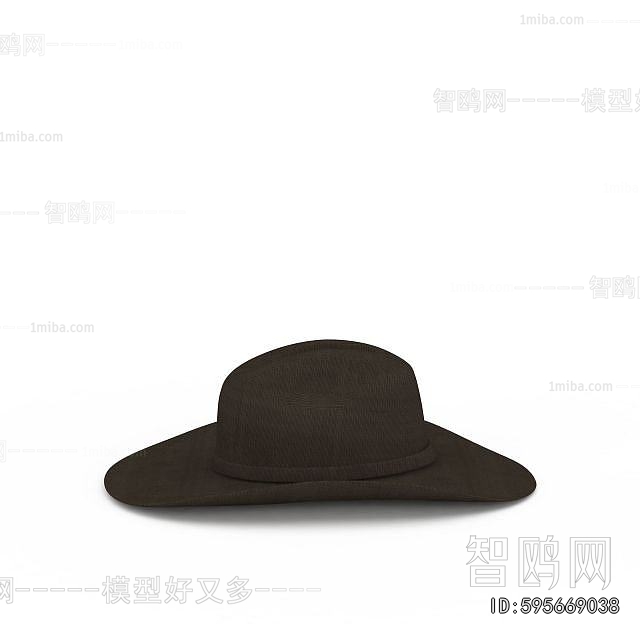 Modern Hat