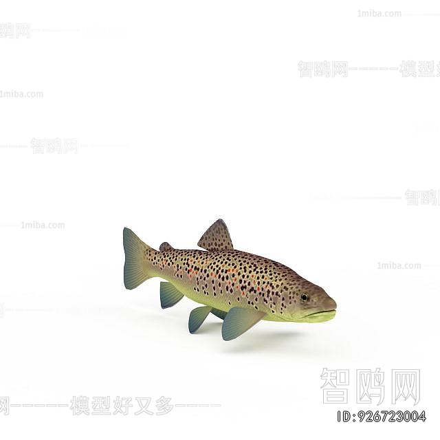 Modern Aquatic Animals