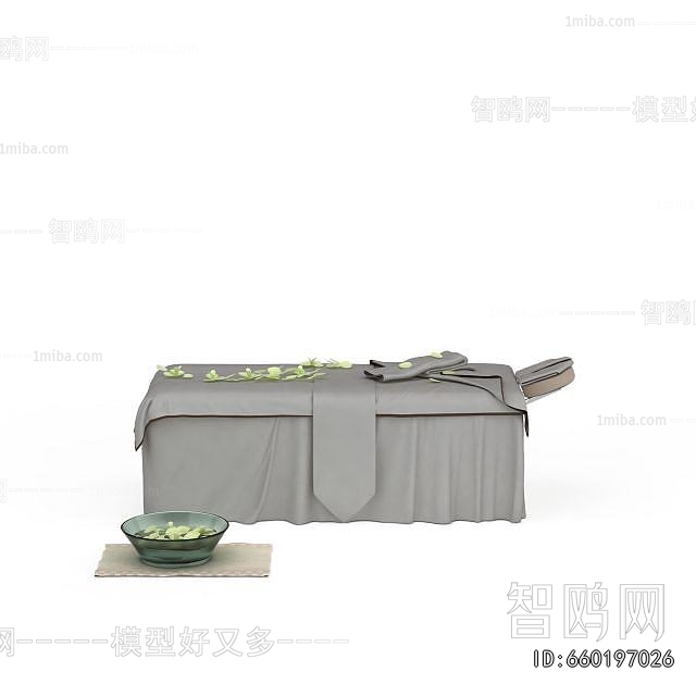 Modern Massage Table