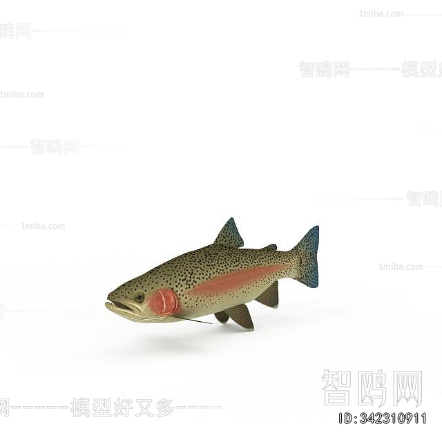 Modern Aquatic Animals