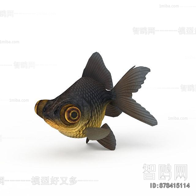 Modern Aquatic Animals