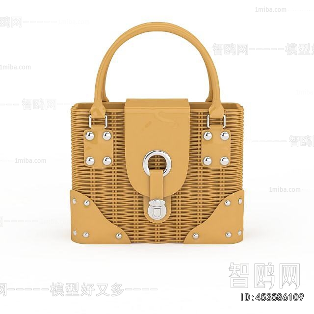 Modern Lady's Bag