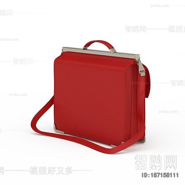Modern Lady's Bag
