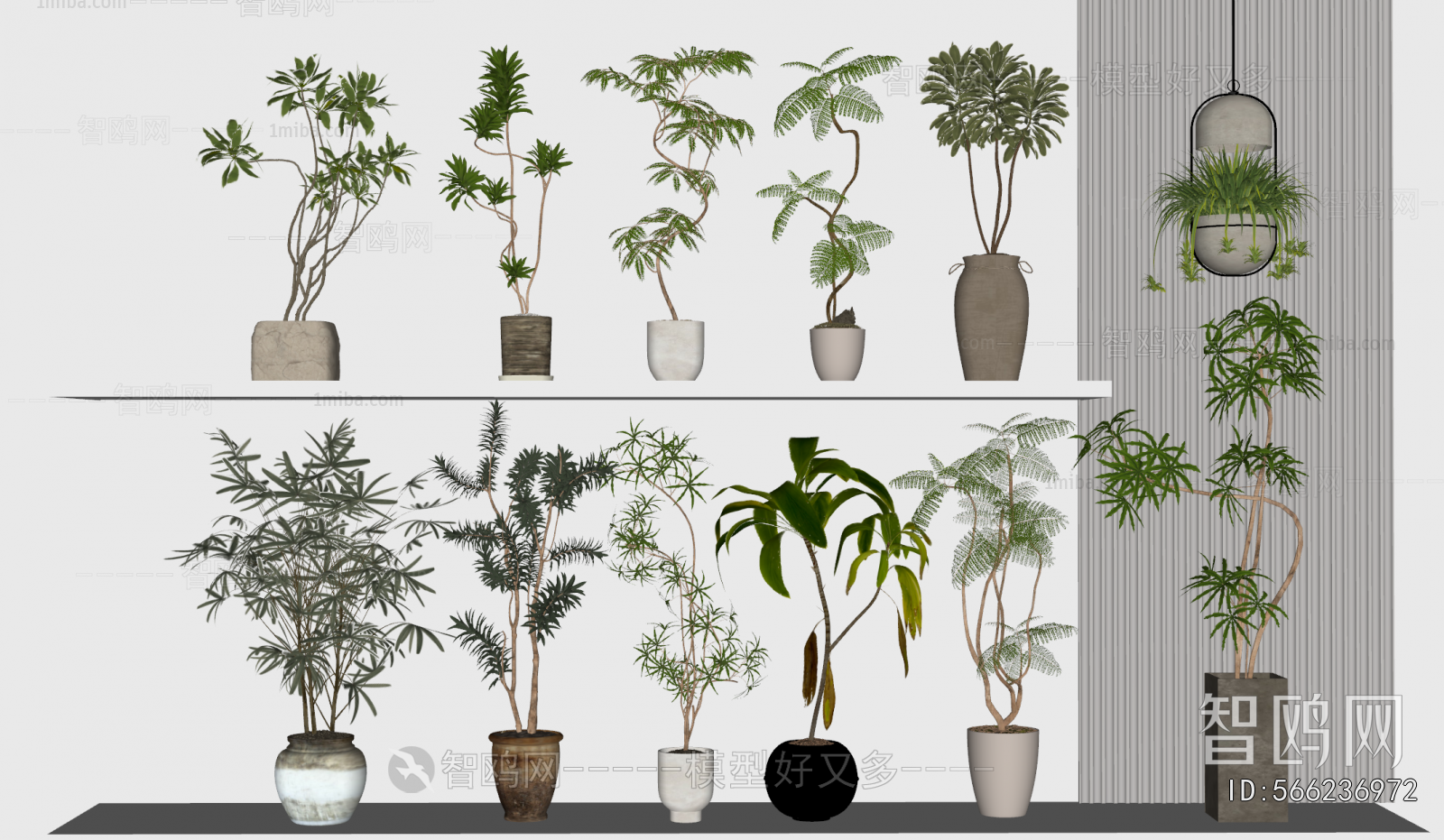 Modern Ground Green Plant Potted Plants