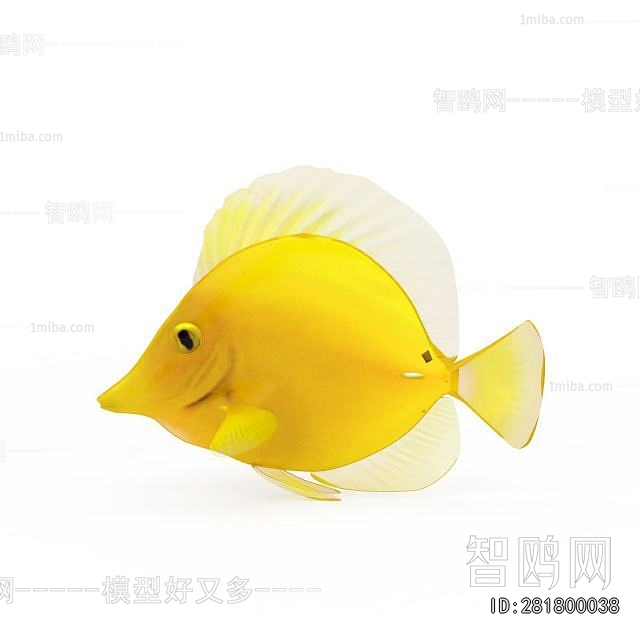 Modern Aquatic Animals