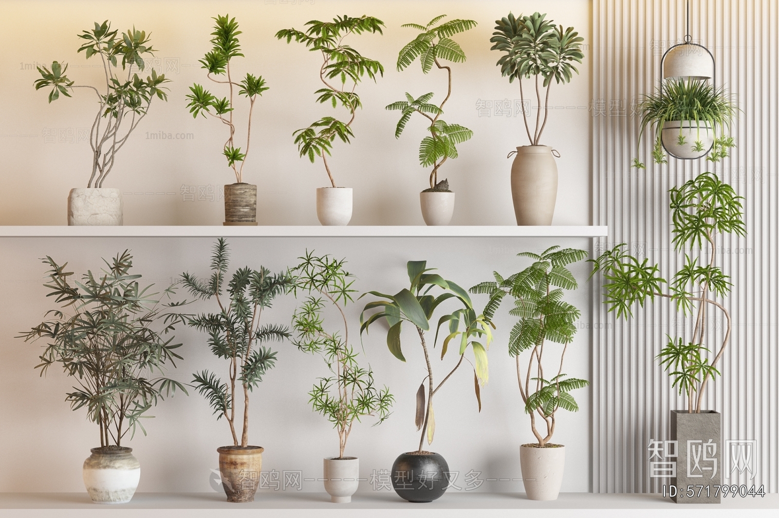 Modern Ground Green Plant Potted Plants