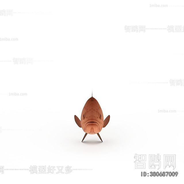 Modern Aquatic Animals