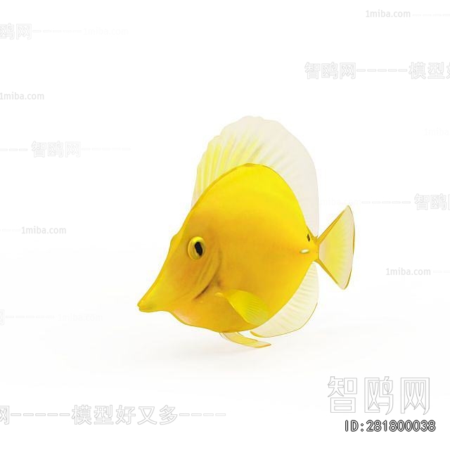 Modern Aquatic Animals