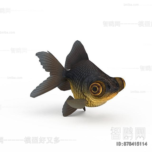 Modern Aquatic Animals