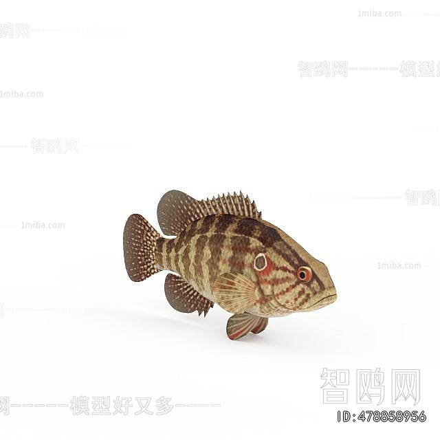 Modern Aquatic Animals