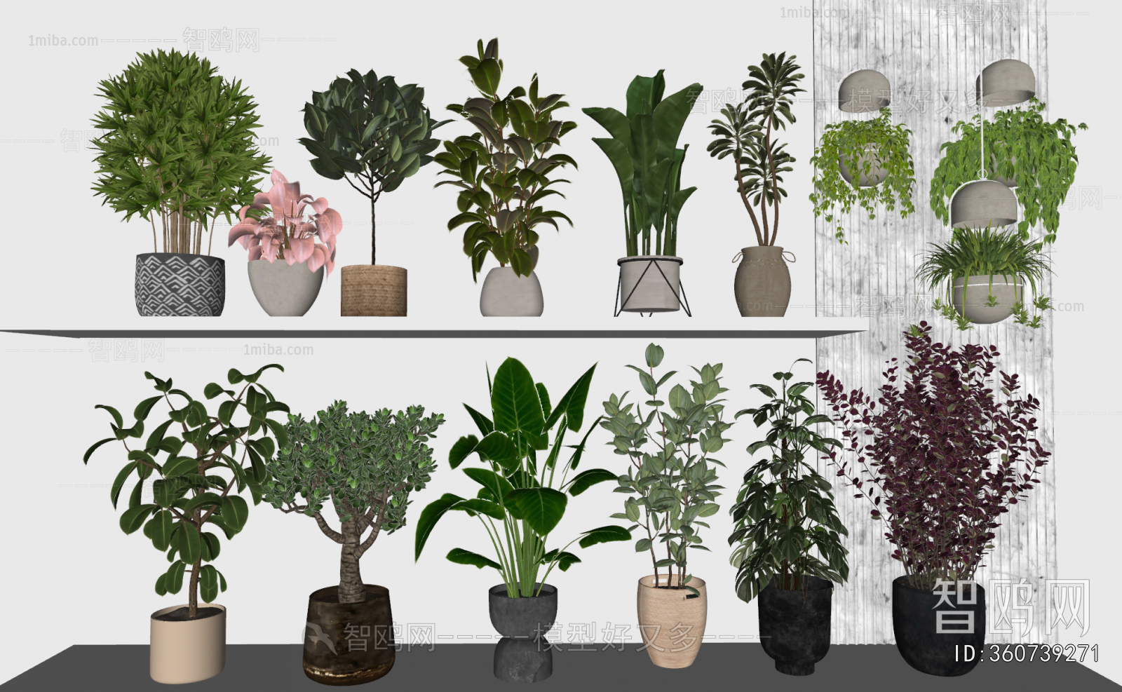 Modern Ground Green Plant Potted Plants