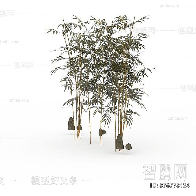 Modern Bamboo