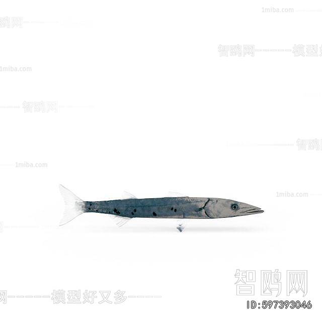 Modern Aquatic Animals