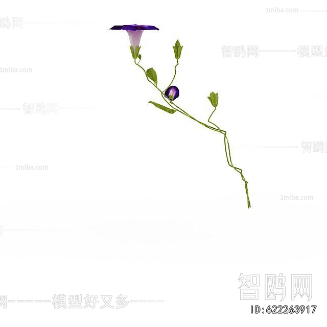 Modern Flowers And Grass