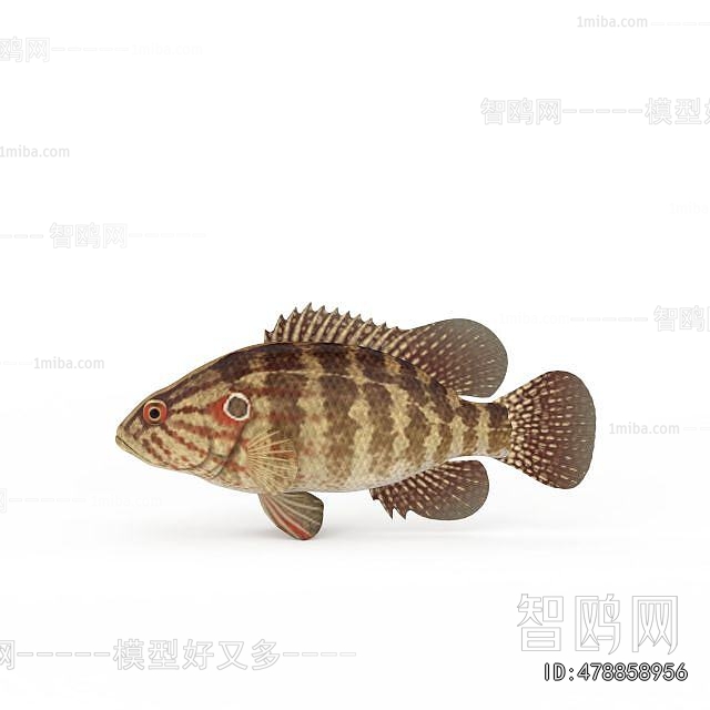 Modern Aquatic Animals