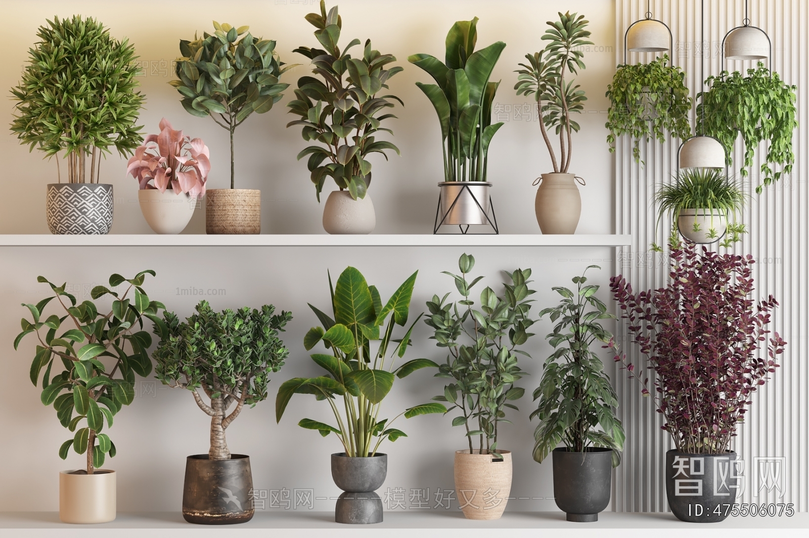 Modern Ground Green Plant Potted Plants