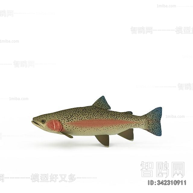 Modern Aquatic Animals