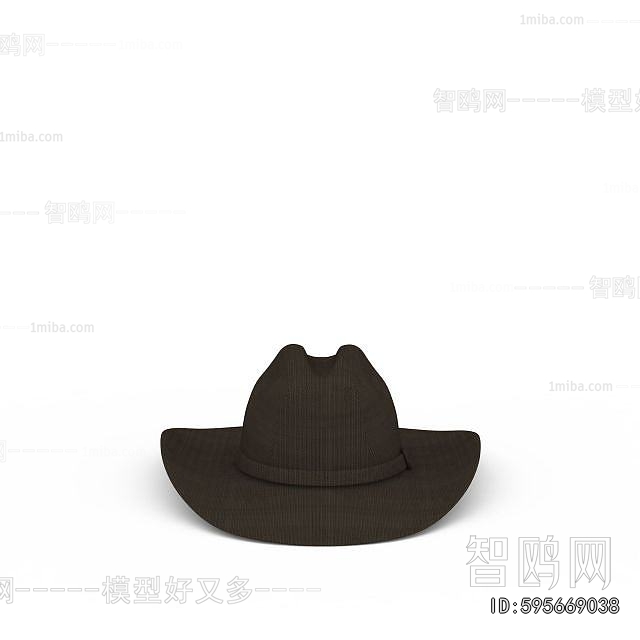 Modern Hat