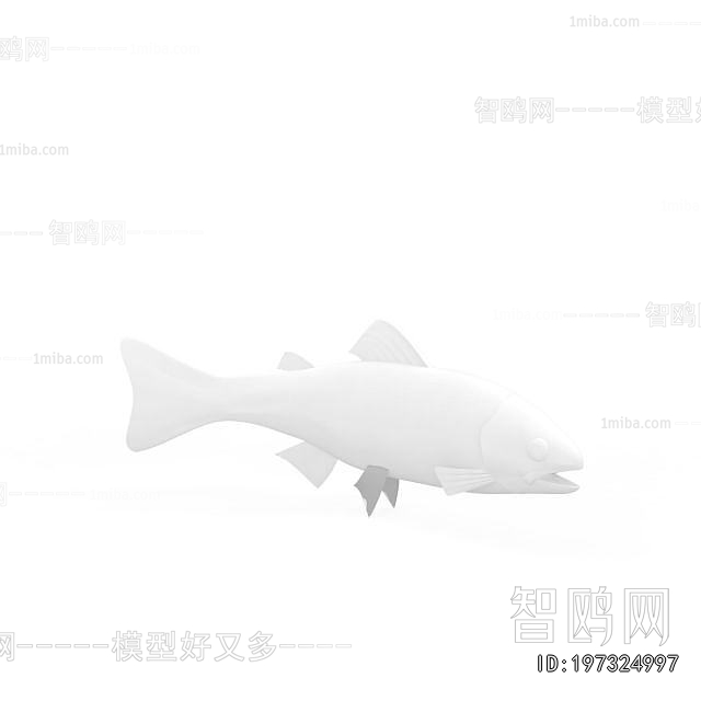 Modern Aquatic Animals