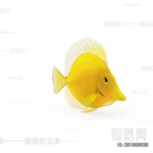 Modern Aquatic Animals