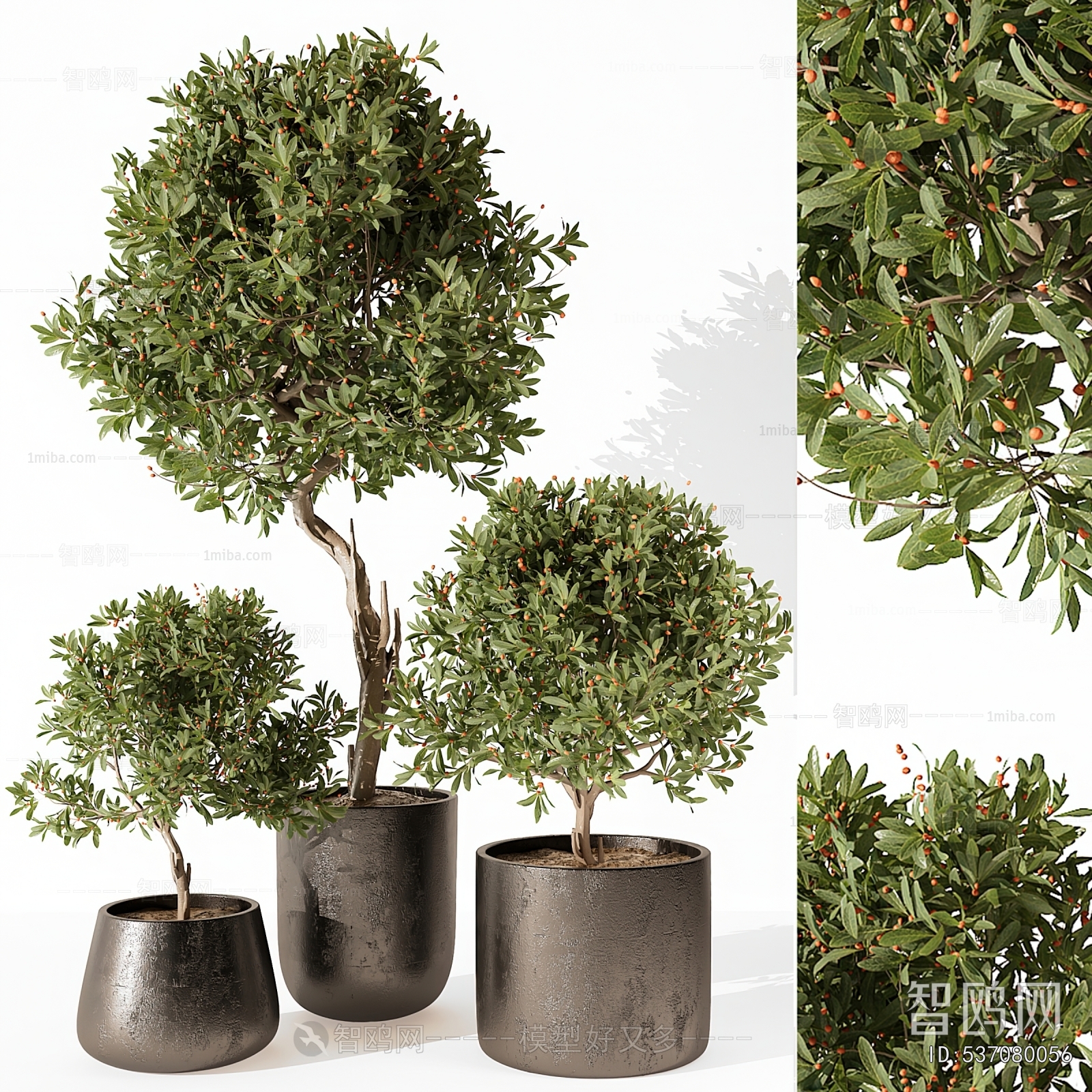 Modern Ground Green Plant Potted Plants