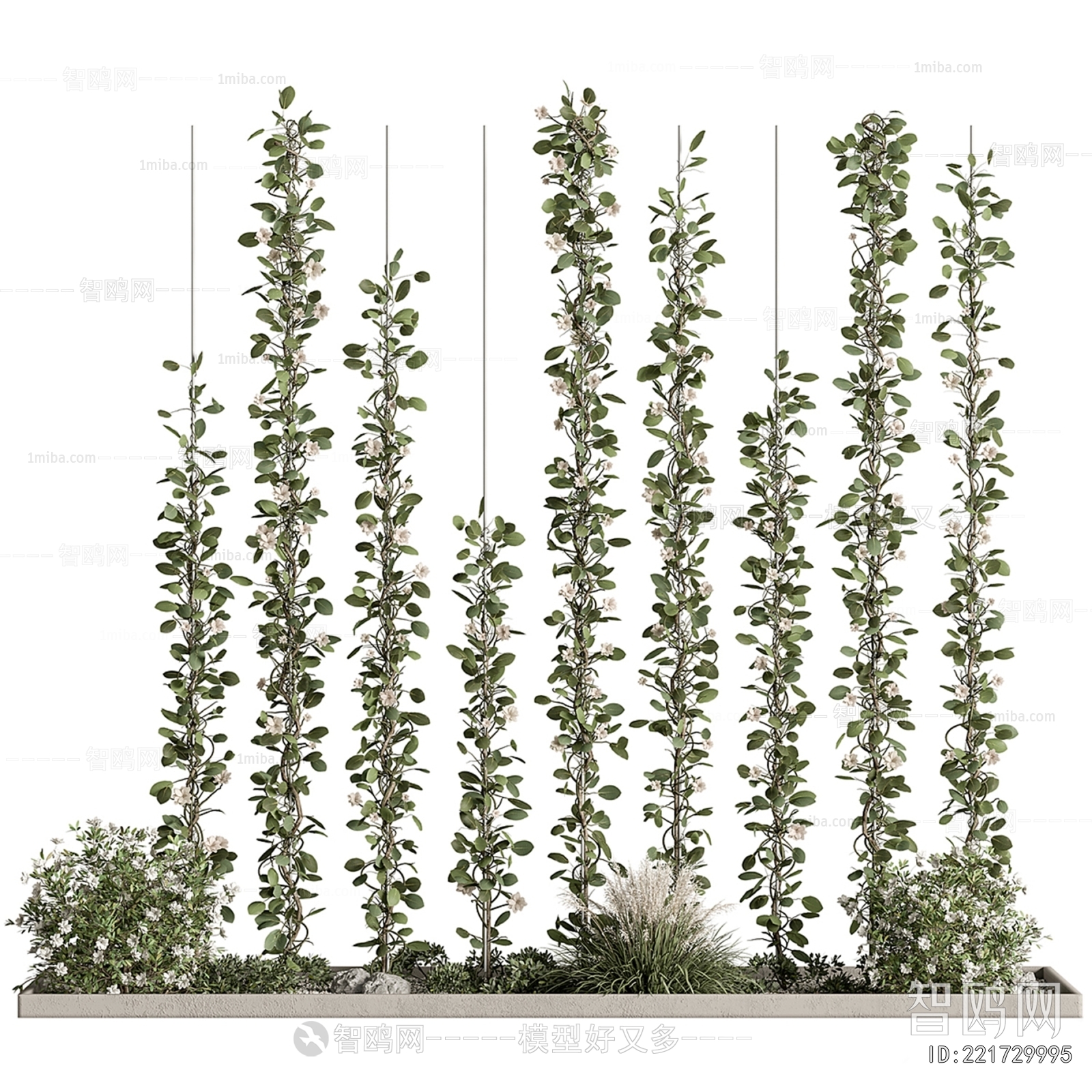 Modern Plant Landscaping