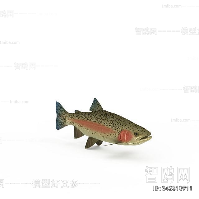 Modern Aquatic Animals