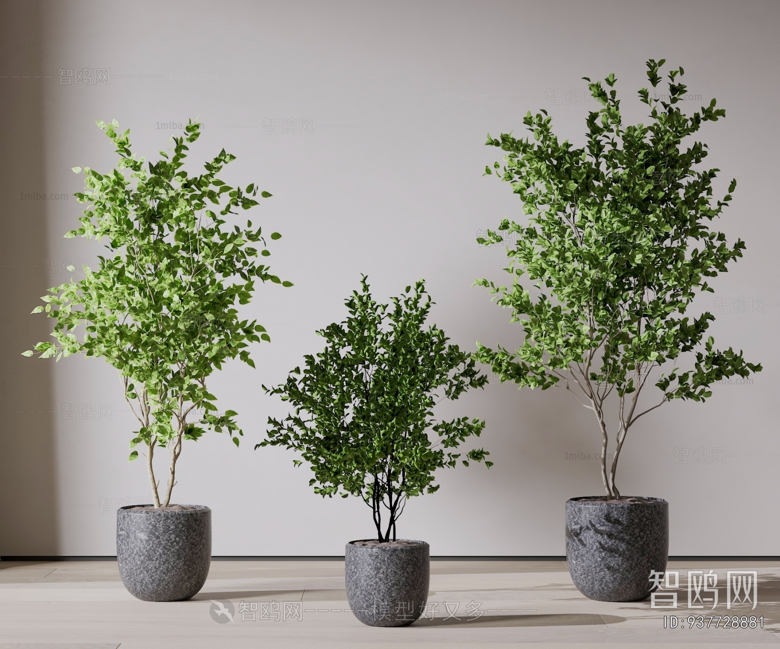 Modern Ground Green Plant Potted Plants