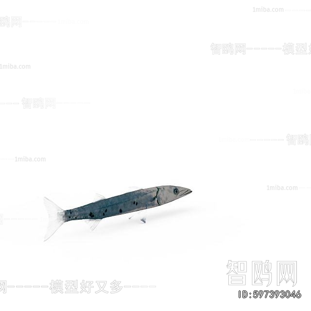 Modern Aquatic Animals