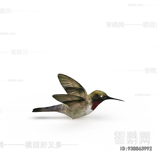 Modern Aquatic Animals