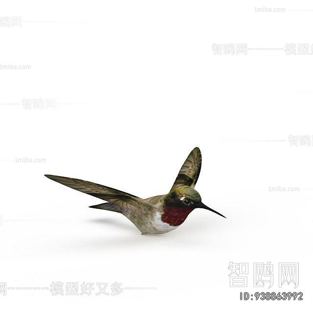 Modern Aquatic Animals