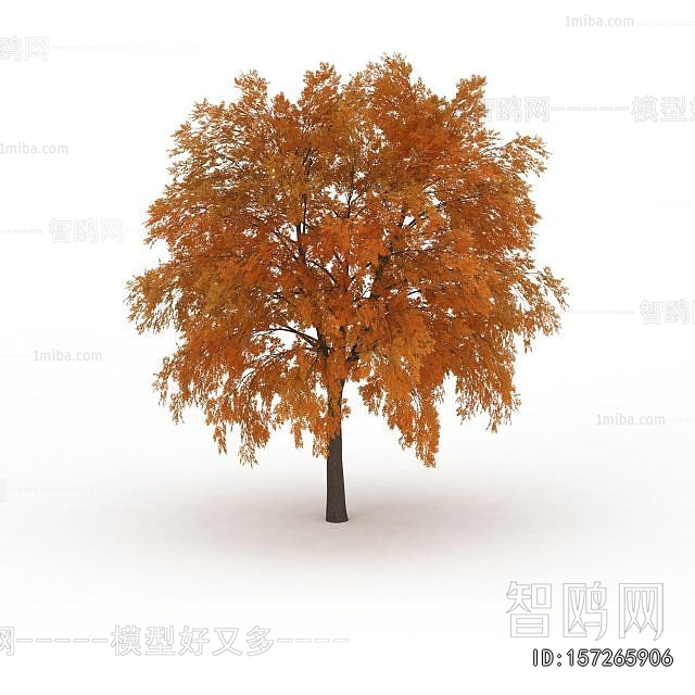 Modern Tree