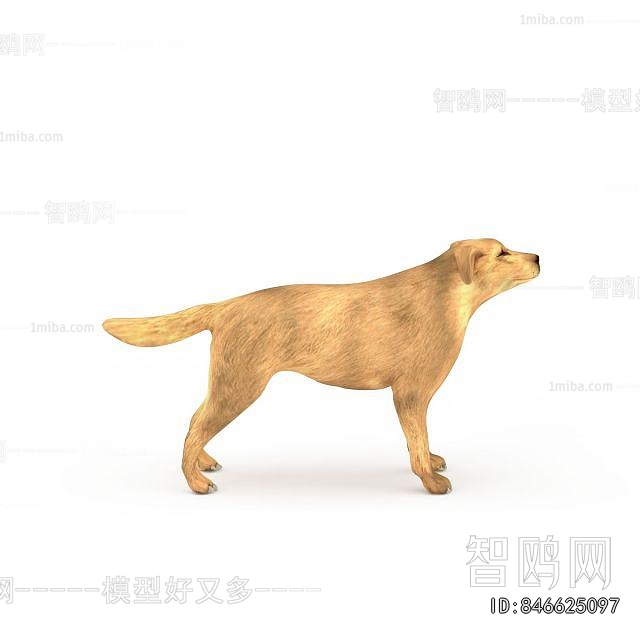 Modern Animal Dog