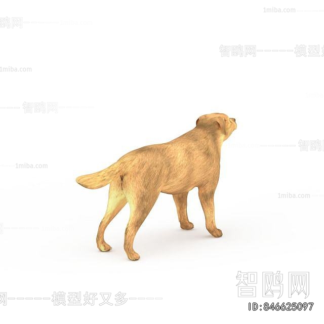 Modern Animal Dog