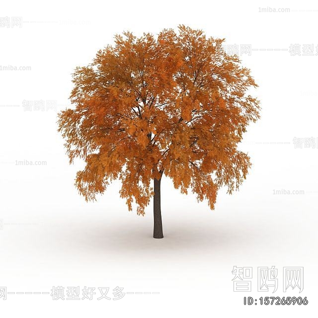 Modern Tree