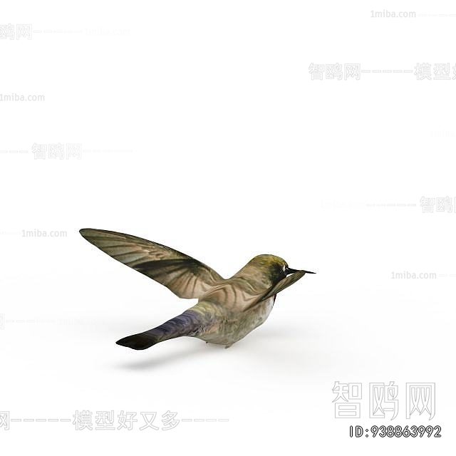 Modern Aquatic Animals