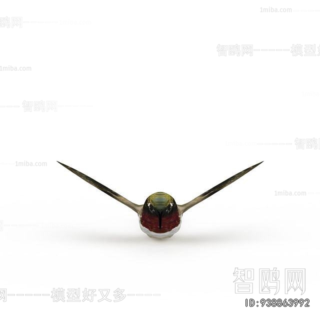 Modern Aquatic Animals