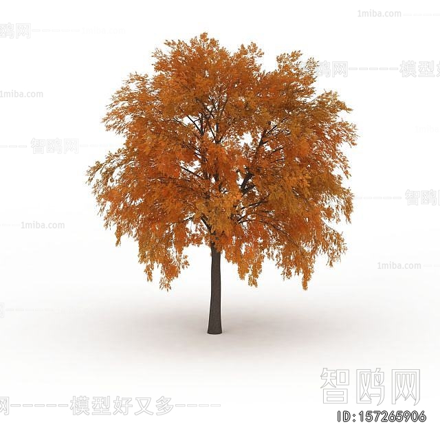 Modern Tree