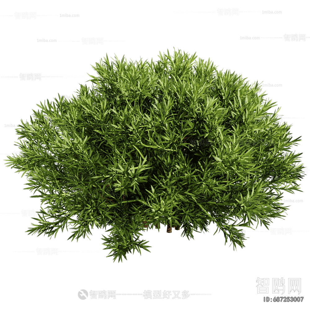 Modern Shrubbery