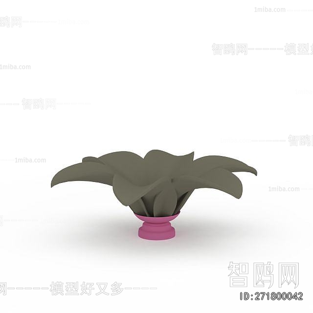 Modern Flower Bed, Flower Bowl, Flower Box