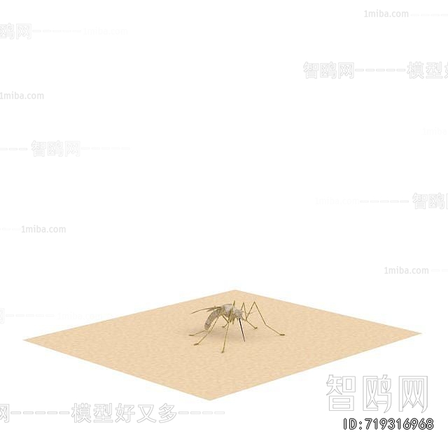 Modern Other Animals