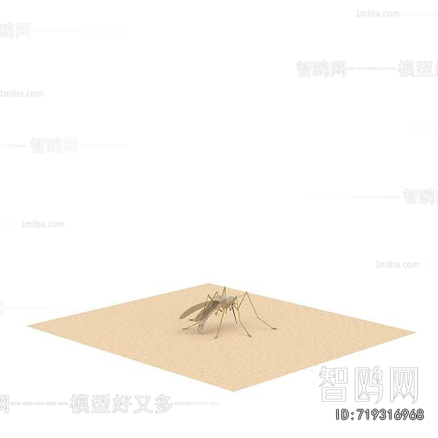 Modern Other Animals